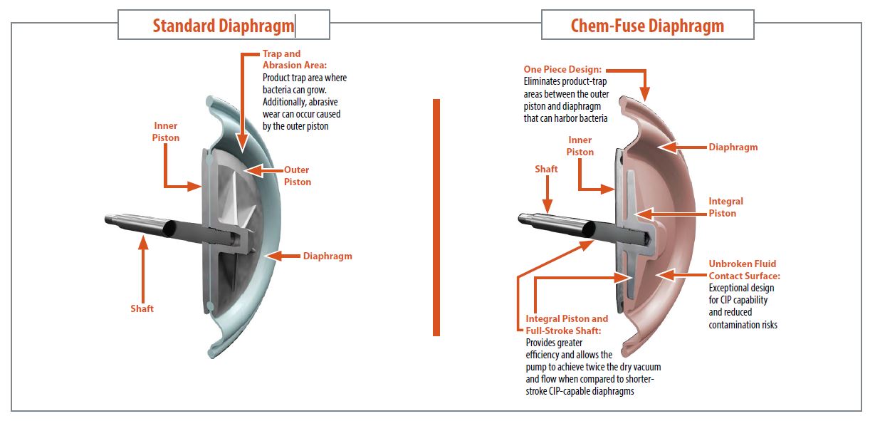 Diaphragm Illustration