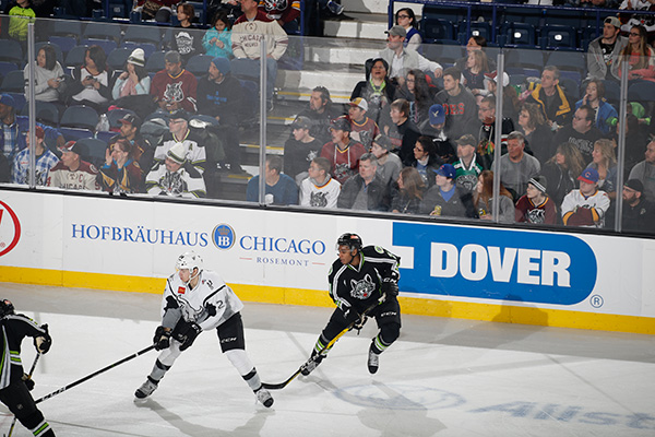 Dover chicago wolves