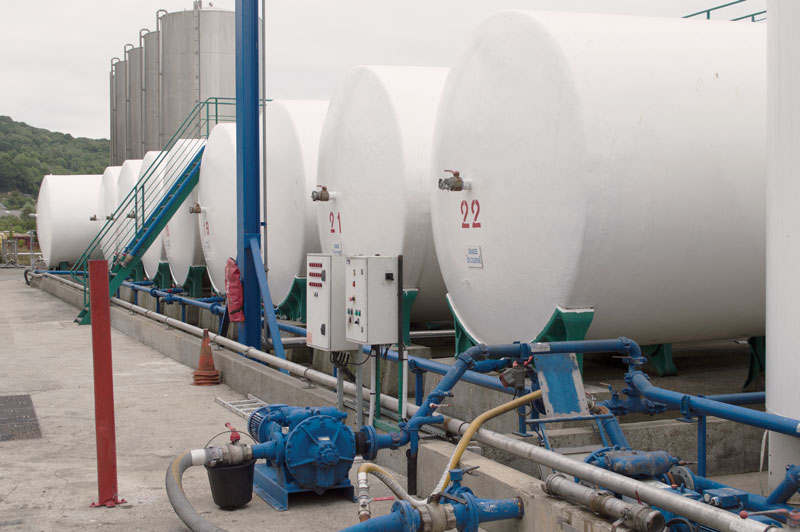 Like-a-Member-of-the-Family-2 Like-a-Member-of-the-Family-2