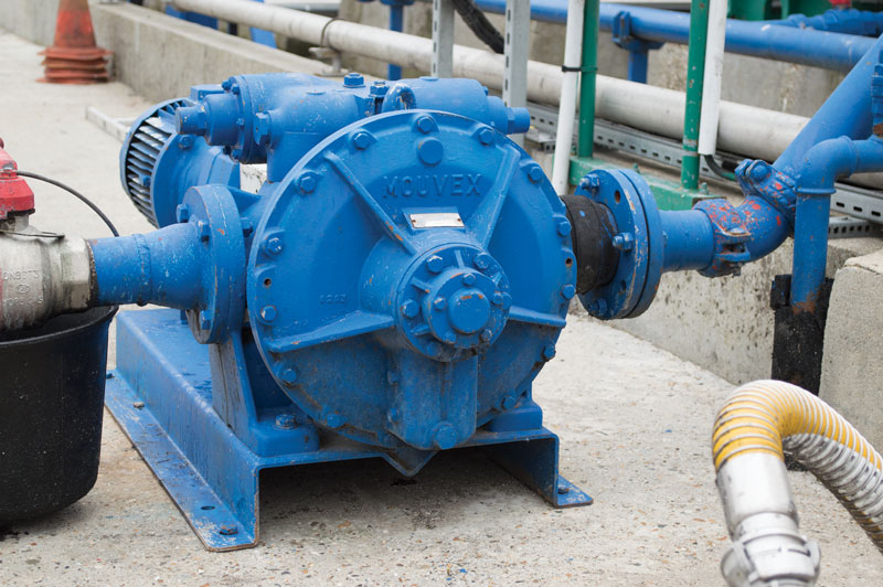 Like-a-Member-of-the-Family-3 Like-a-Member-of-the-Family-3