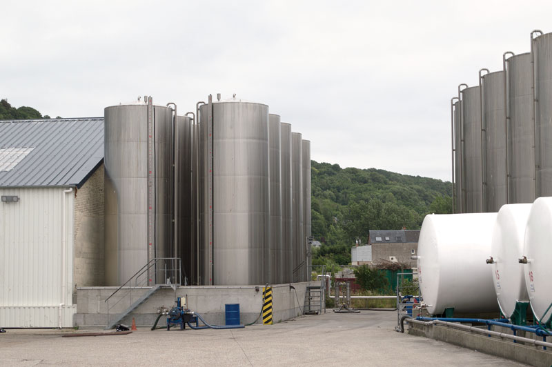 Like-a-Member-of-the-Family-4 Like-a-Member-of-the-Family-4