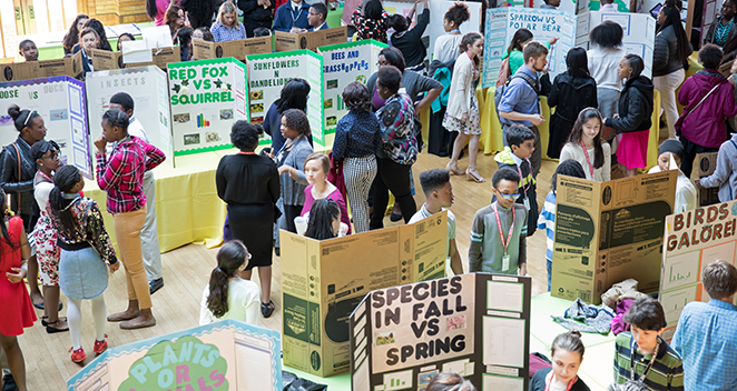 Science-Celebration-4