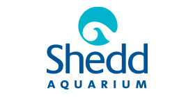 Shedd